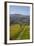 Felton Road Vineyard, Autumn, Bannockburn, Central Otago, South Island, New Zealand-David Wall-Framed Photographic Print