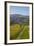 Felton Road Vineyard, Autumn, Bannockburn, Central Otago, South Island, New Zealand-David Wall-Framed Photographic Print
