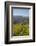 Felton Road Vineyard, Autumn, Bannockburn, Central Otago, South Island, New Zealand-David Wall-Framed Photographic Print