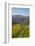 Felton Road Vineyard, Autumn, Bannockburn, Central Otago, South Island, New Zealand-David Wall-Framed Photographic Print