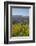 Felton Road Vineyard, Autumn, Bannockburn, Central Otago, South Island, New Zealand-David Wall-Framed Photographic Print