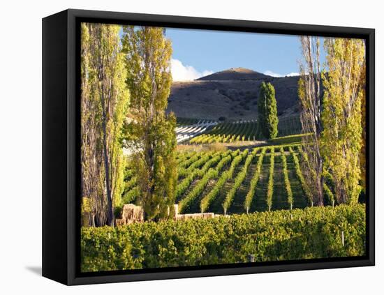 Felton Road Vineyard, Bannockburn, South Island, New Zealand-David Wall-Framed Premier Image Canvas