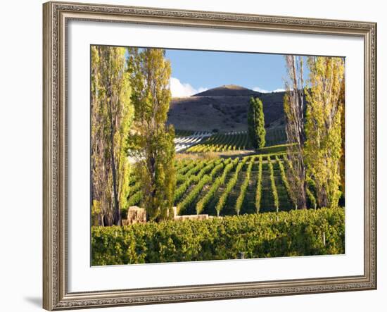 Felton Road Vineyard, Bannockburn, South Island, New Zealand-David Wall-Framed Photographic Print