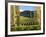 Felton Road Vineyard, Bannockburn, South Island, New Zealand-David Wall-Framed Photographic Print