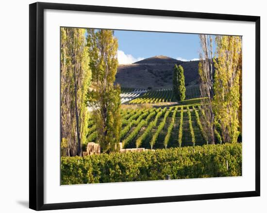 Felton Road Vineyard, Bannockburn, South Island, New Zealand-David Wall-Framed Photographic Print