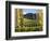 Felton Road Vineyard, Bannockburn, South Island, New Zealand-David Wall-Framed Photographic Print