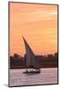 Felucca on the Nile River, Luxor, Egypt, North Africa, Africa-Richard Maschmeyer-Mounted Photographic Print