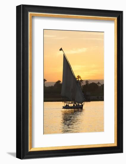 Felucca on the Nile River, Luxor, Egypt, North Africa, Africa-Richard Maschmeyer-Framed Photographic Print