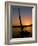 Felucca Silhouetted Against Setting Sun over the Nile at Luxor, Egypt-Cindy Miller Hopkins-Framed Photographic Print