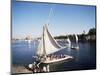 Feluccas on the River Nile, Aswan, Egypt, North Africa, Africa-Philip Craven-Mounted Photographic Print