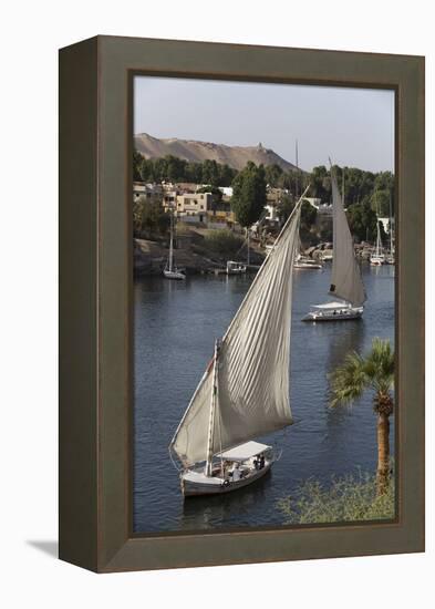 Feluccas Sailing on the River Nile, Aswan, Egypt, North Africa, Africa-Richard Maschmeyer-Framed Premier Image Canvas