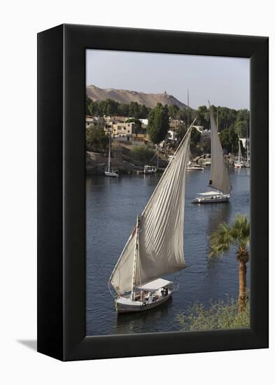 Feluccas Sailing on the River Nile, Aswan, Egypt, North Africa, Africa-Richard Maschmeyer-Framed Premier Image Canvas