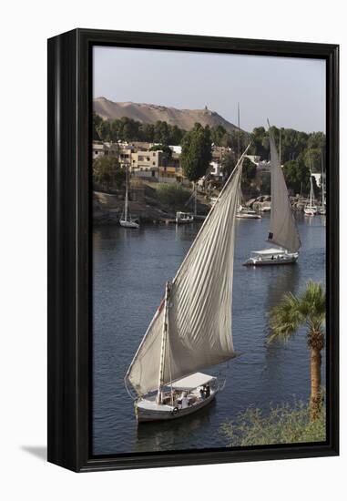 Feluccas Sailing on the River Nile, Aswan, Egypt, North Africa, Africa-Richard Maschmeyer-Framed Premier Image Canvas