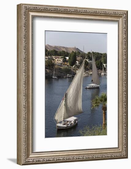 Feluccas Sailing on the River Nile, Aswan, Egypt, North Africa, Africa-Richard Maschmeyer-Framed Photographic Print