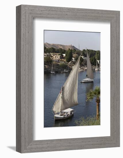 Feluccas Sailing on the River Nile, Aswan, Egypt, North Africa, Africa-Richard Maschmeyer-Framed Photographic Print