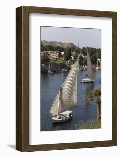 Feluccas Sailing on the River Nile, Aswan, Egypt, North Africa, Africa-Richard Maschmeyer-Framed Photographic Print