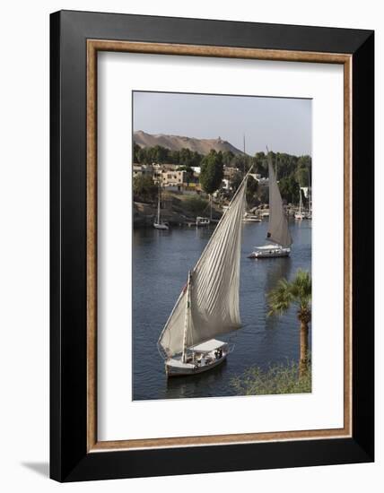 Feluccas Sailing on the River Nile, Aswan, Egypt, North Africa, Africa-Richard Maschmeyer-Framed Photographic Print