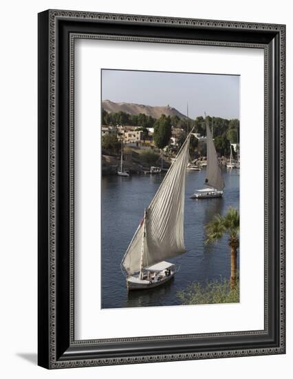 Feluccas Sailing on the River Nile, Aswan, Egypt, North Africa, Africa-Richard Maschmeyer-Framed Photographic Print