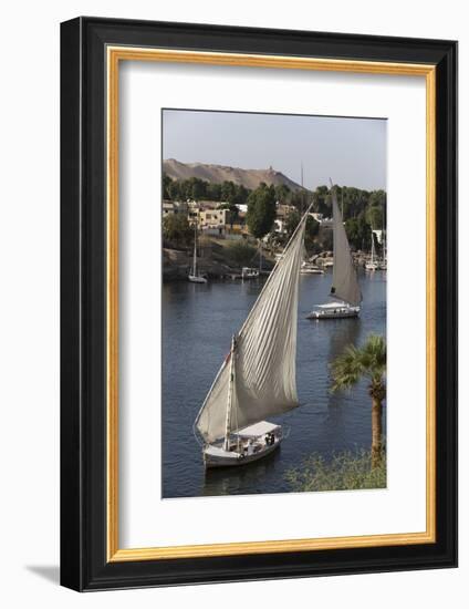 Feluccas Sailing on the River Nile, Aswan, Egypt, North Africa, Africa-Richard Maschmeyer-Framed Photographic Print