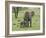 Female African Elephant with baby, Serengeti National Park, Tanzania-Adam Jones-Framed Photographic Print