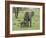 Female African Elephant with baby, Serengeti National Park, Tanzania-Adam Jones-Framed Photographic Print