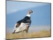 Premium Photographic Print