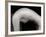 Female Arch-Edoardo Pasero-Framed Photographic Print