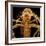 Female Asian Tiger Mosquito-Micro Discovery-Framed Photographic Print