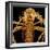 Female Asian Tiger Mosquito-Micro Discovery-Framed Photographic Print