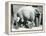 Female Asiatic Elephant 'Sundermalah' Having Her Feet Trimmed by Her Keepers at London Zoo, August-Frederick William Bond-Framed Premier Image Canvas