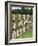 Female Athletes Perform a Routine to Publicise the 1932 Los Angeles Olympics-null-Framed Photographic Print