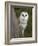 Female Barn Owl, Tyto Alba, World Owl Trust, Muncaster Castle, Ravenglass, Cumbria, UK, Captive-Ann & Steve Toon-Framed Photographic Print