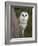 Female Barn Owl, Tyto Alba, World Owl Trust, Muncaster Castle, Ravenglass, Cumbria, UK, Captive-Ann & Steve Toon-Framed Photographic Print