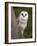 Female Barn Owl, Tyto Alba, World Owl Trust, Muncaster Castle, Ravenglass, Cumbria, UK, Captive-Ann & Steve Toon-Framed Photographic Print