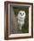 Female Barn Owl, Tyto Alba, World Owl Trust, Muncaster Castle, Ravenglass, Cumbria, UK, Captive-Ann & Steve Toon-Framed Photographic Print