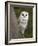 Female Barn Owl, Tyto Alba, World Owl Trust, Muncaster Castle, Ravenglass, Cumbria, UK, Captive-Ann & Steve Toon-Framed Photographic Print