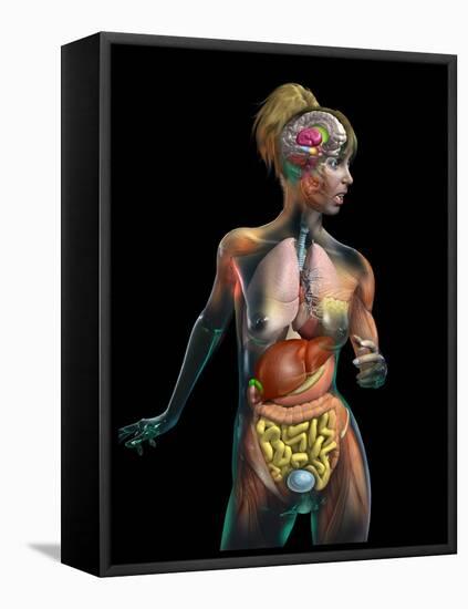 Female Body, Artwork-Jose Antonio-Framed Premier Image Canvas