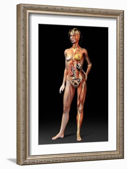 Female Body, Artwork-Jose Antonio-Framed Photographic Print