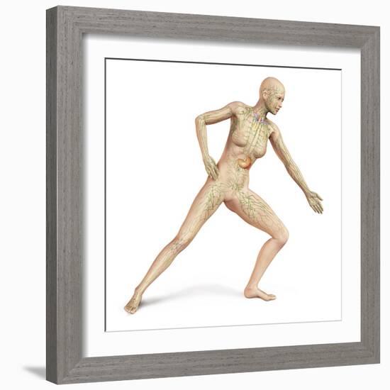 Female Body in Dynamic Posture with Lymphatic System Superimposed-null-Framed Art Print