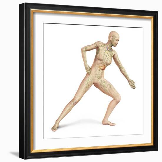 Female Body in Dynamic Posture with Lymphatic System Superimposed-null-Framed Art Print