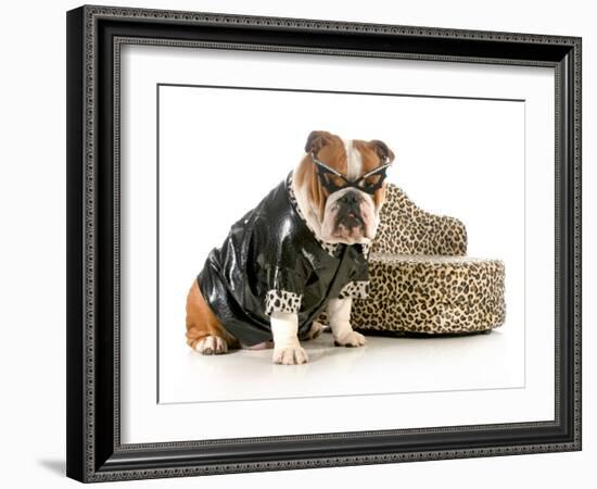 Female Bulldog Humanized With Leather Coat And Glasses Sitting Beside Couch Isolated-Willee Cole-Framed Photographic Print