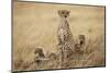 Female Cheetah with Cubs in Tall Grass-Paul Souders-Mounted Photographic Print