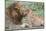 Female Cub Nuzzles Adult Male Lion, Ngorongoro, Tanzania-James Heupel-Mounted Photographic Print