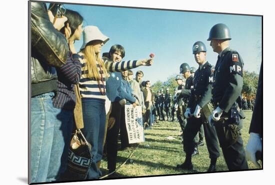 Female Demonstrator Offers a Flower to Military Police During the 1967 March on the Pentagon-null-Mounted Premium Photographic Print