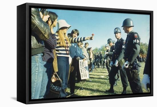 Female Demonstrator Offers a Flower to Military Police During the 1967 March on the Pentagon-null-Framed Stretched Canvas