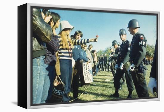 Female Demonstrator Offers a Flower to Military Police During the 1967 March on the Pentagon-null-Framed Stretched Canvas