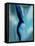 female desire-Kenny Primmer-Framed Stretched Canvas