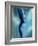 female desire-Kenny Primmer-Framed Art Print