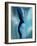 female desire-Kenny Primmer-Framed Art Print