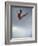 Female Diver Flying Through the Air, California, USA-Paul Sutton-Framed Photographic Print